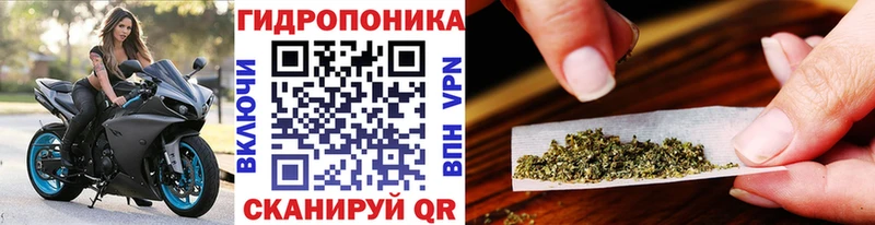 Каннабис план  купить наркотики цена  Карасук 